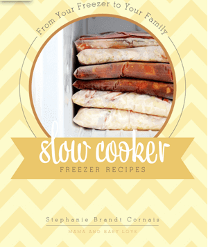 From Your Freezer to Your Family- Slow Cooker Freezer Recipes