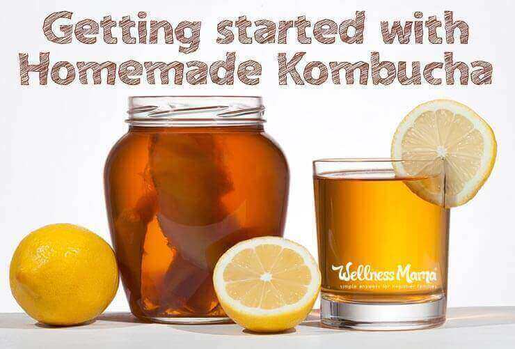 036: Hannah Crum on Getting Started With Homemade Kombucha