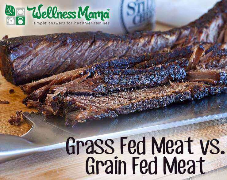 Grass fed meat vs grain fed meat