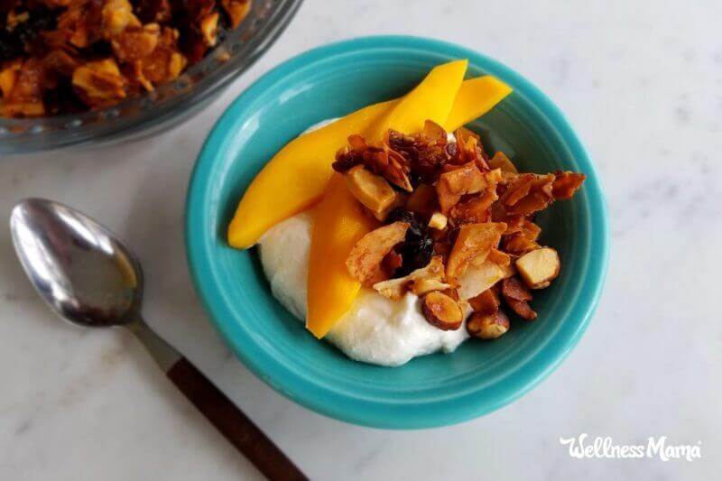 Grain Free Coconut Granola Recipe Wellness Mama