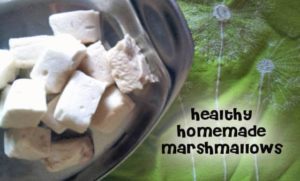 Healthy Homemade Marshmallow Recipe- Can even add probiotics- these are healthy and kids love them