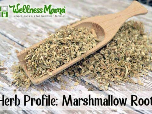 How To Use Marshmallow Root For Better Health