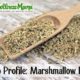 Herb Profile- Marshmallow Root Uses and Benefits