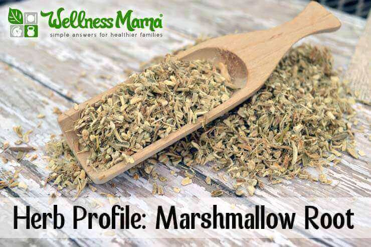 Marshmallow Root Herb Profile