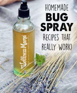 Homemade bug spray recipes that really work