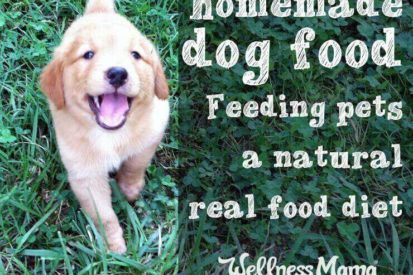Homemade dog food- a real food diet for pets
