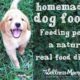 Homemade dog food- a real food diet for pets