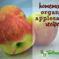 Homemade organic applesauce recipe