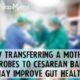 How Transferring A Mothers Microbes to Cesarean Babies May Imrpvoe Gut Health