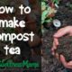 How to Make Compost Tea