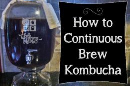 How to Make Kombucha Using the Continuous Brew System and Why you would want to