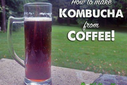 How to Make Kombucha from Coffee