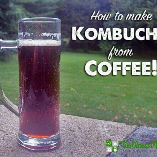 How to Make Kombucha from Coffee
