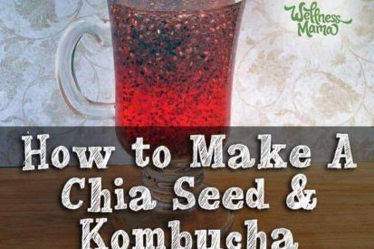 How to Make a Chia Seed and Kombucha Energy Drink