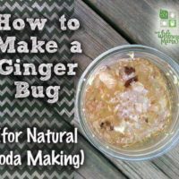 How to Make a Ginger Bug for Natural Soda