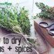 How to dry herbs and spices