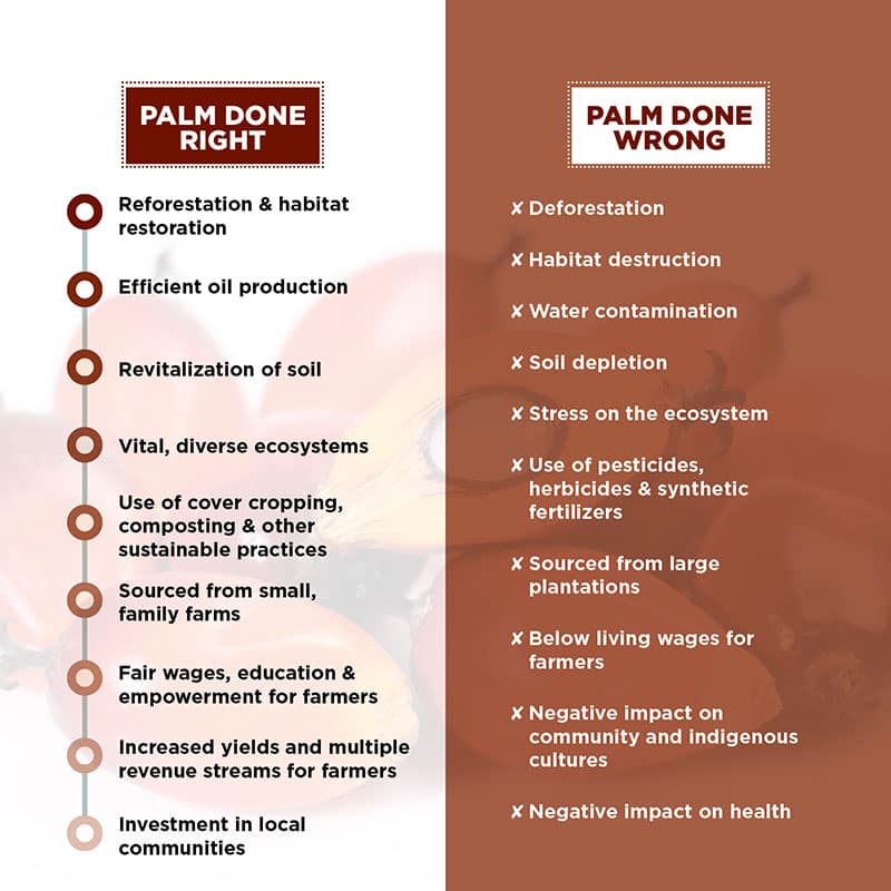 How-to-find-healthy-palm-oil