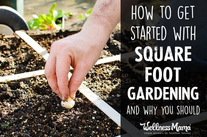 How To Get Started Square Foot Gardening Wellness Mama