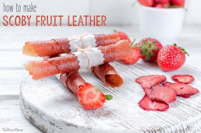 Fruit Leather For Dogs | 17 Healthy Homemade Pet Food Recipes And Treats