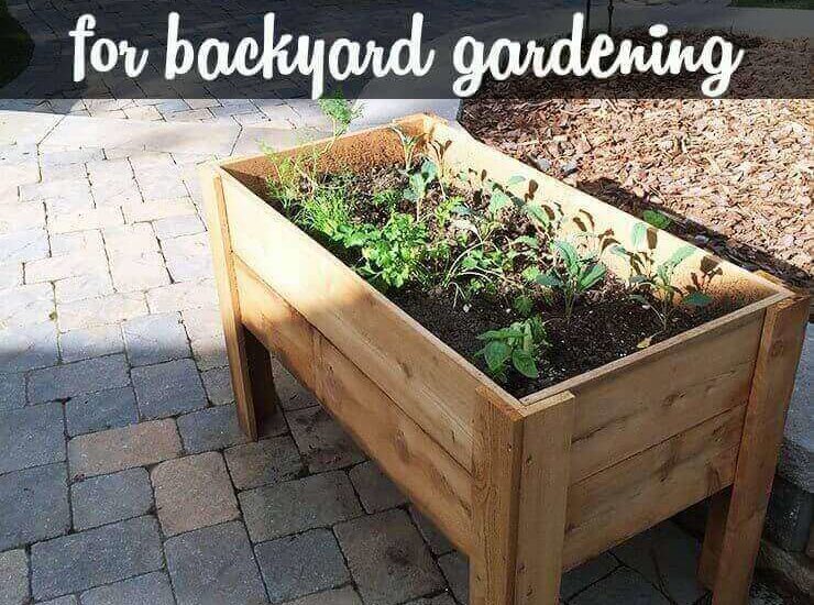 How to make a planter box for easy backyard gardening