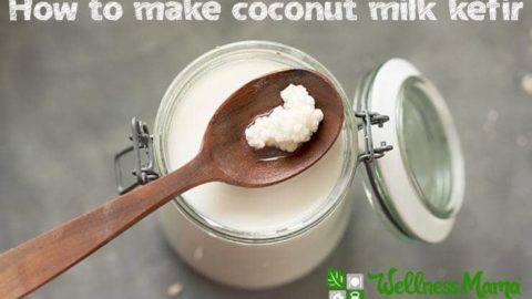 Coconut Milk Kefir Recipe Wellness Mama