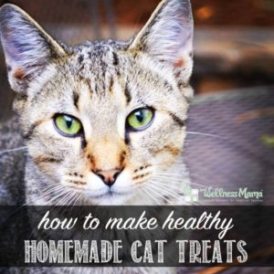 How to make healthy homemade cat treats
