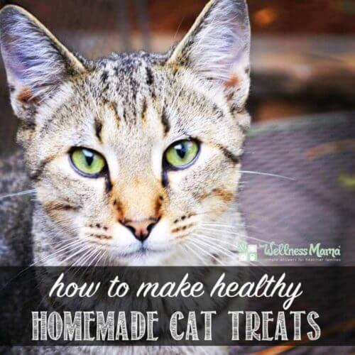 Healthy Homemade Cat Treats Recipe Wellness Mama