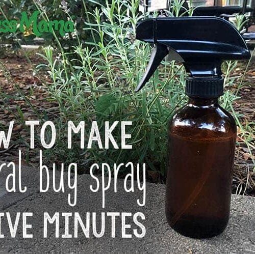 Kaip per maždaug penkias minutes pasigaminti natūralų purškalą nuo vabzdžių