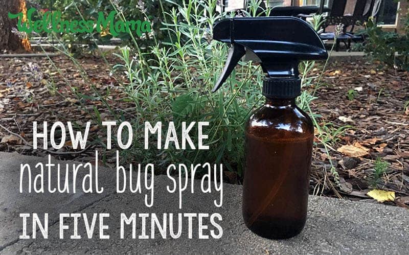 Homemade Bug Spray Recipes That Work Wellness Mama - Diy Essential Oil Spray Witch Hazel And Lemon
