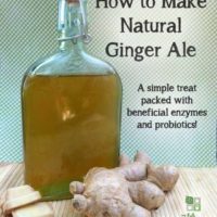 How to make natural ginger ale- a healthy and delicious treat full of probiotics and enzymes
