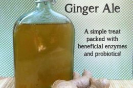 How to make natural ginger ale- a healthy and delicious treat full of probiotics and enzymes