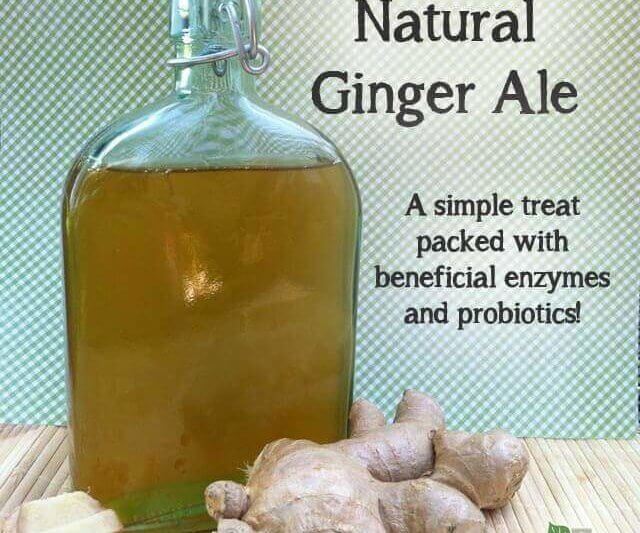 Ginger Ale-Home Made How-to-make-natural-ginger-ale-a-healthy-and-delicious-treat-full-of-probiotics-and-enzymes-640x533