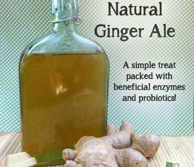 How to make natural ginger ale- a healthy and delicious treat full of probiotics and enzymes