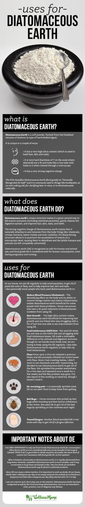 Diatomaceous earth is a chalky powder of fossilized diatoms. It is helpful for eliminating bed bugs, fleas and other pests and is a powerful beauty remedy.