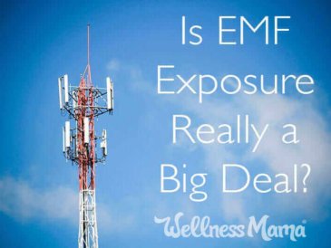 is-emf-exposure-really-a-big-deal