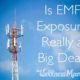 is-emf-exposure-really-a-big-deal