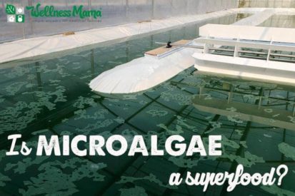 Is Microalgae a superfood