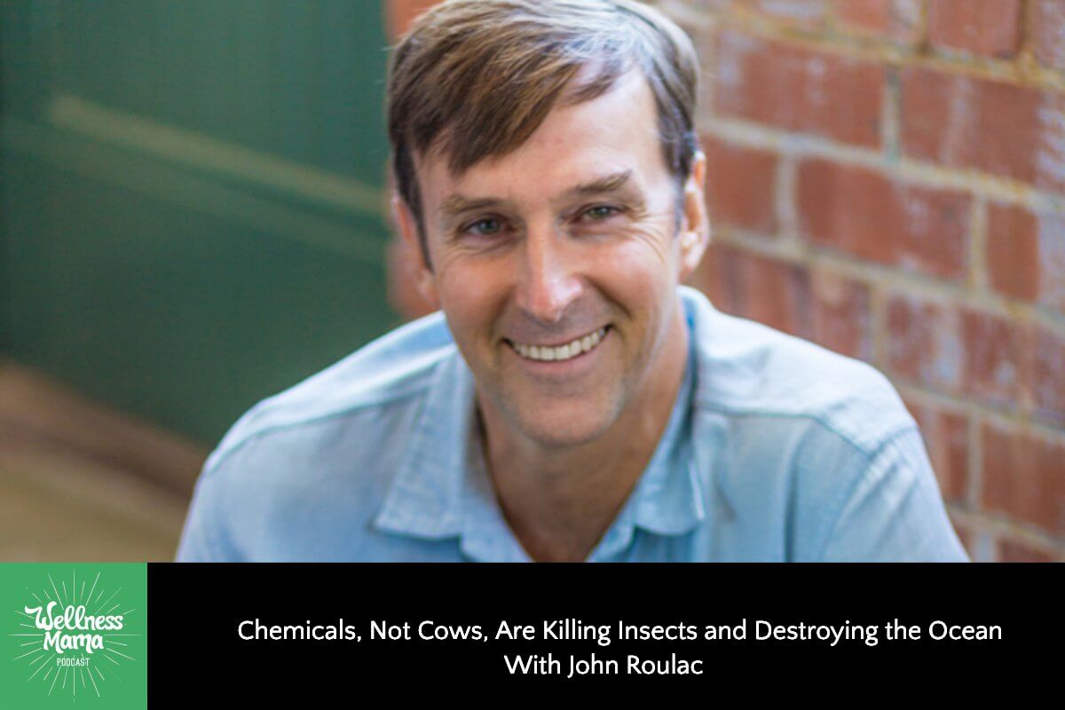 Chemicals, Not Cows, Are Killing Insects and Destroying the Ocean With John Roulac