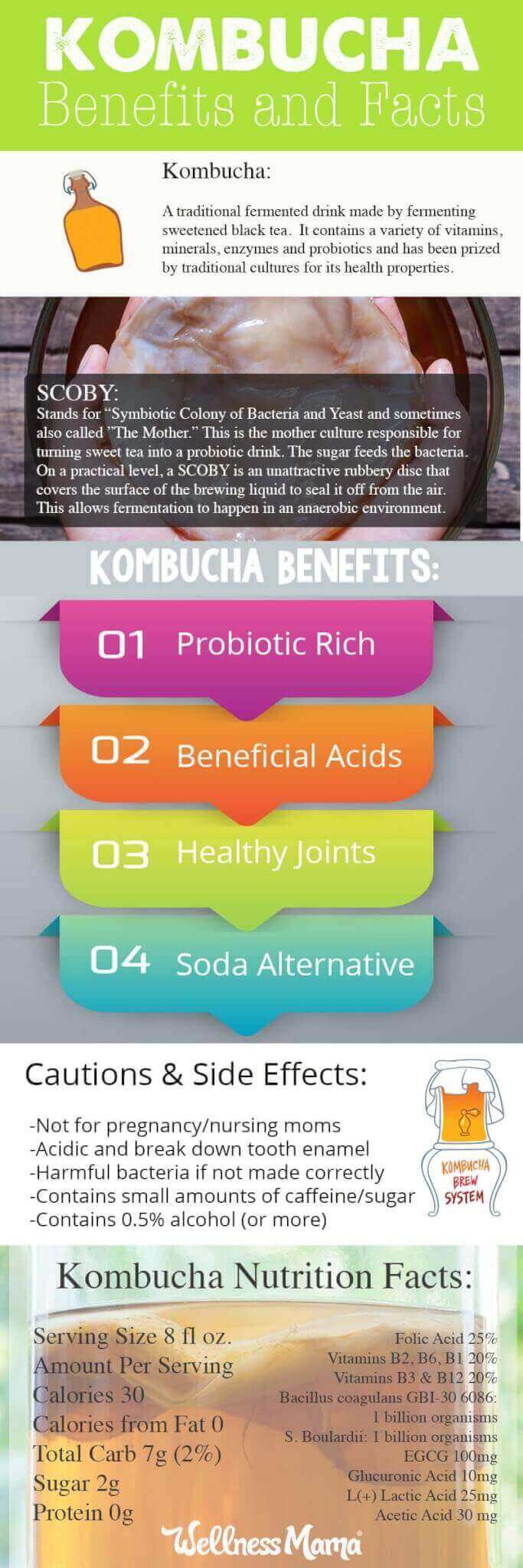 Kombucha Benefits and Facts Infographic