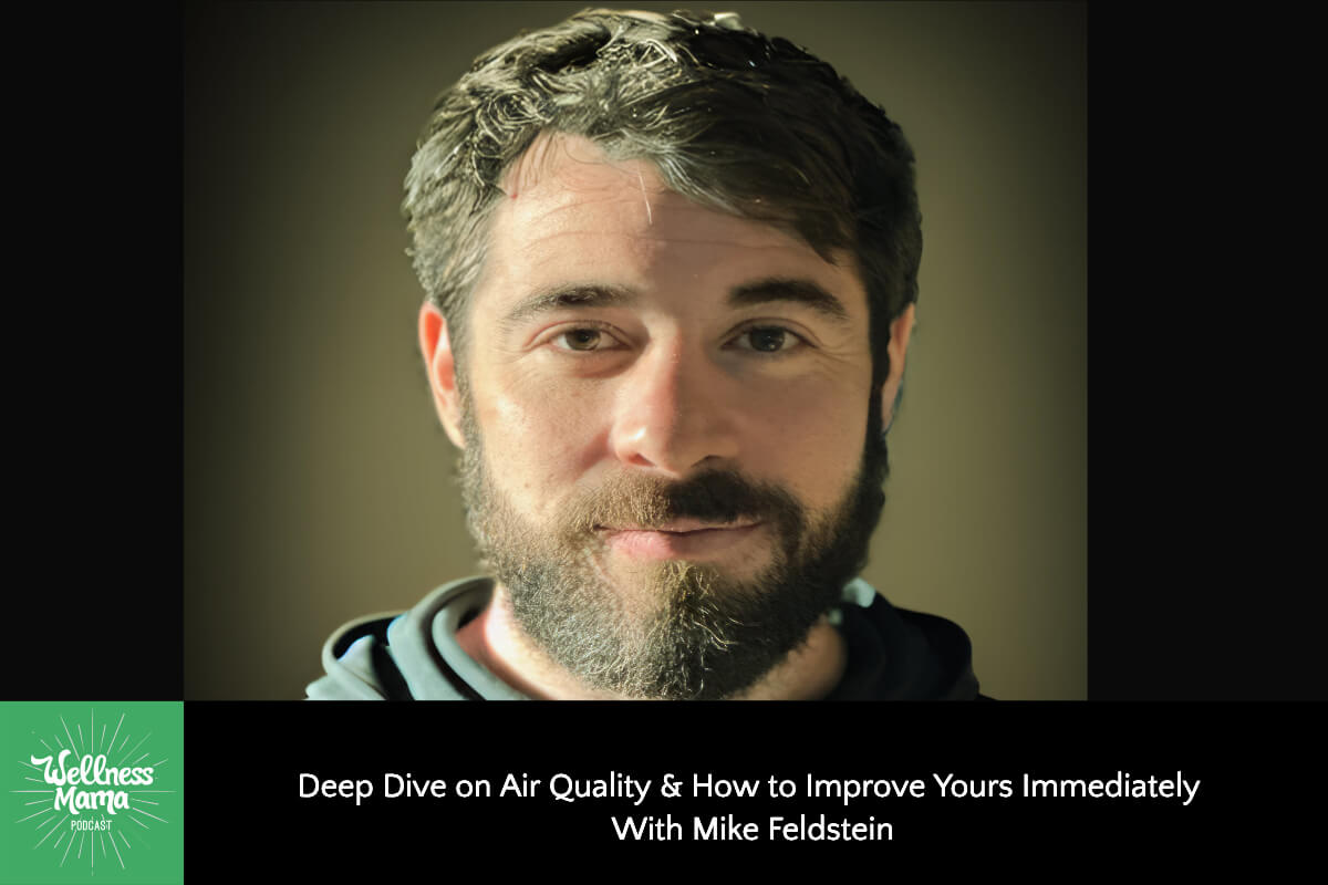 824: Deep Dive on Air Quality & How to Improve Yours Immediately With Mike Feldstein