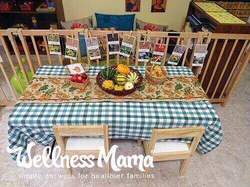 Montessori nature table ideas