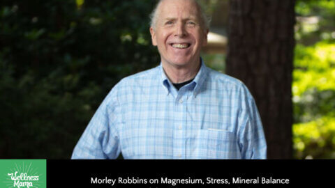Morley Robbins on Magnesium, Stress, Mineral Balance and the Root Cause Protocol