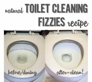 Natural Effective Toilet Cleaning Fizzies Recipe