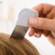 Natural Ways to Fight Drug Resistant Head Lice