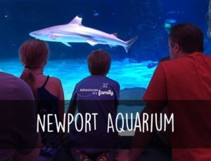 Newport-Aquarium-in-Cincinnati-Ohio