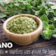 is oregano good for you