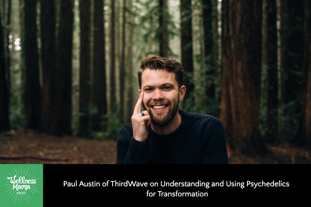 Paul Austin of ThirdWave on Understanding and Using Psychedelics for Transformation
