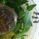 Peppermint Leaf- Ways to use and recipes