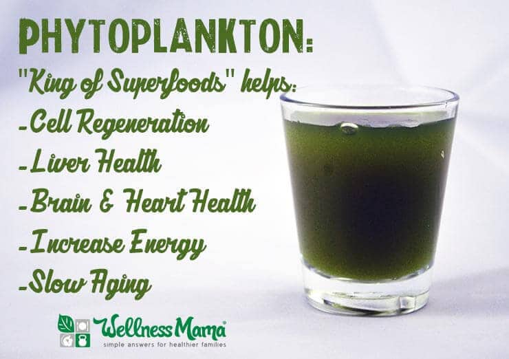 Phytoplankton benefits for cell health-liver health-brain and heart health-energy and more