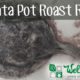 Placenta Pot Roast Recipe